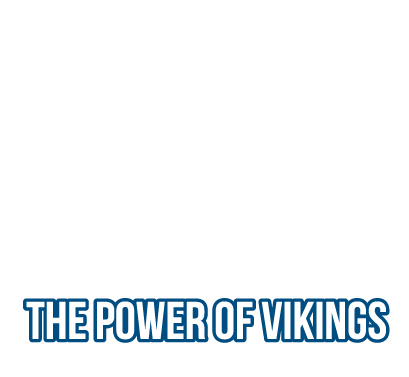 Power of Vikings